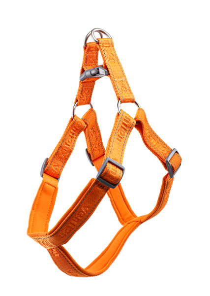 Dog Harness