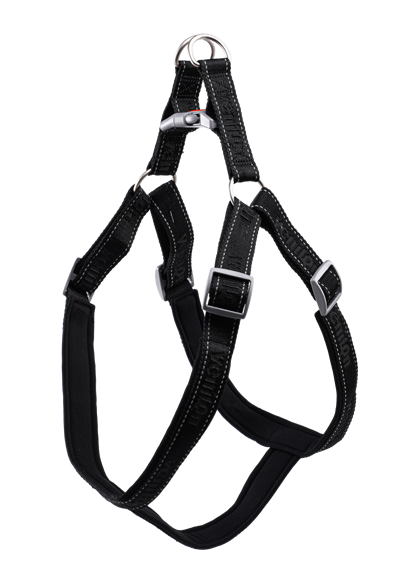 Dog Harness