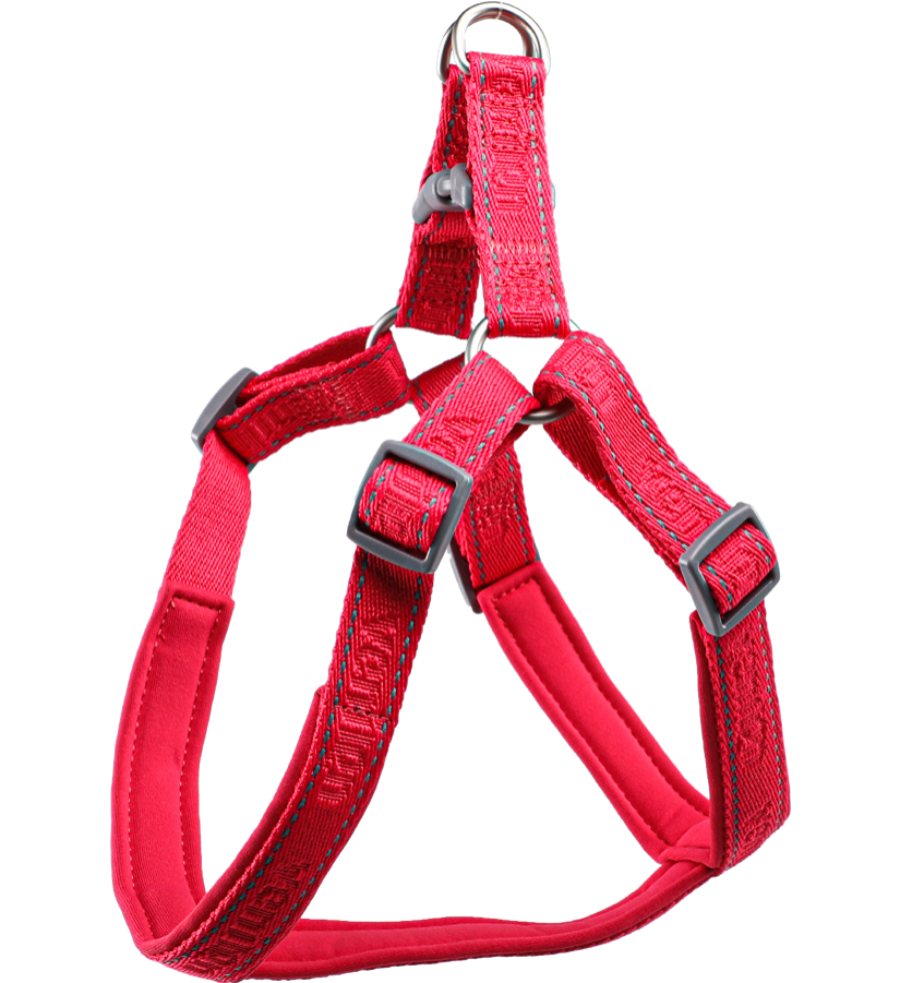 Dog Harness