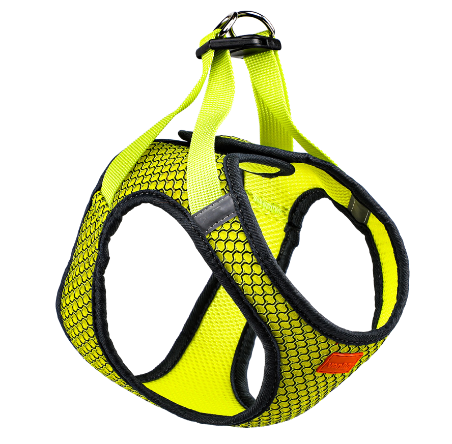 Dog Harness