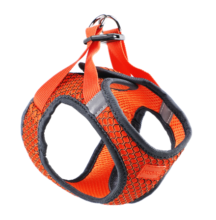 Dog Harness