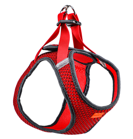 Dog Harness
