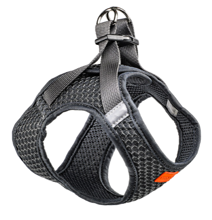 Dog Harness