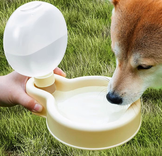 Foldable Water Bottle & Bowl for Dogs