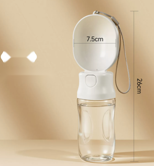 Portable Outdoor Water Bottle