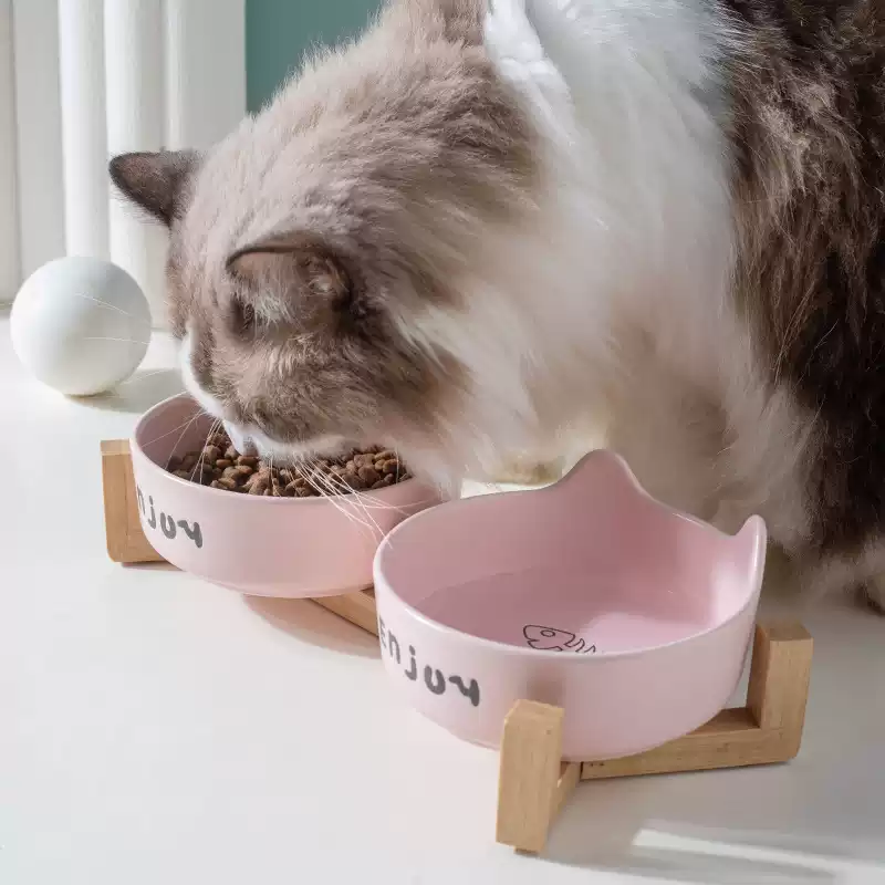Ceramic Bowl