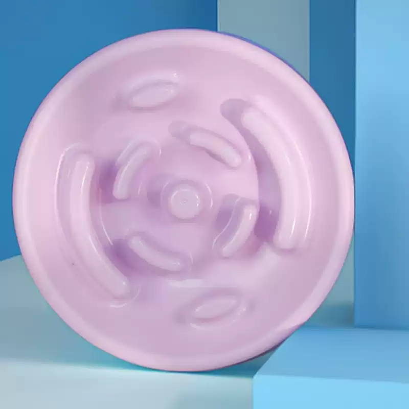 Slow Feeder Bowl