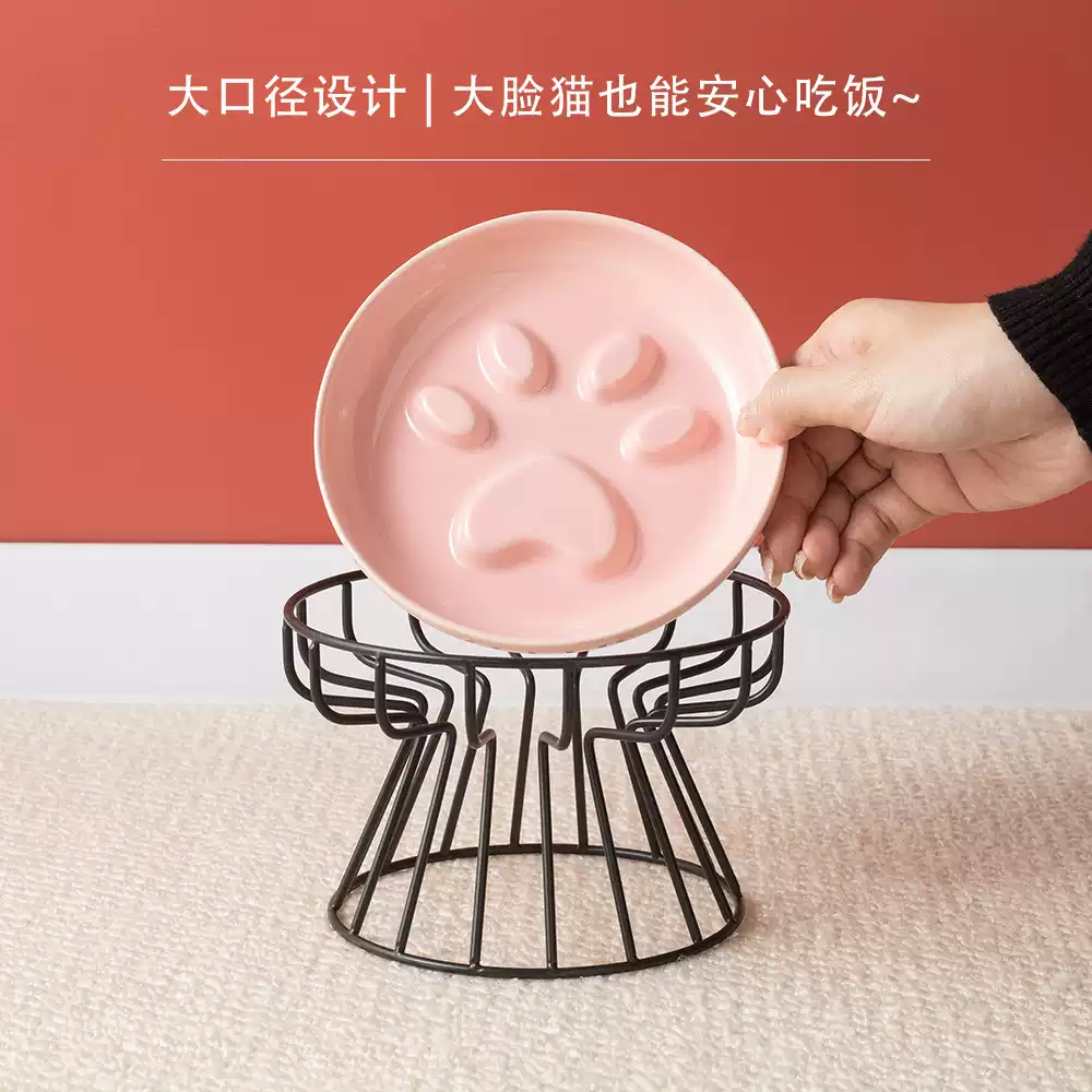 Ceramic Bowl