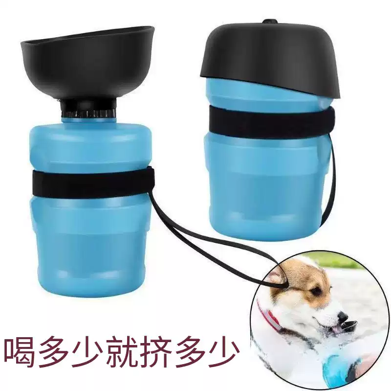 Portable Outdoor Water Bottle
