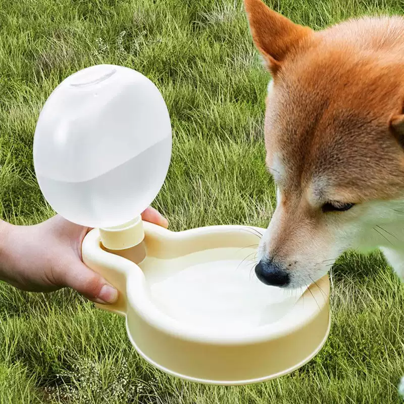 Portable Outdoor Water Bottle