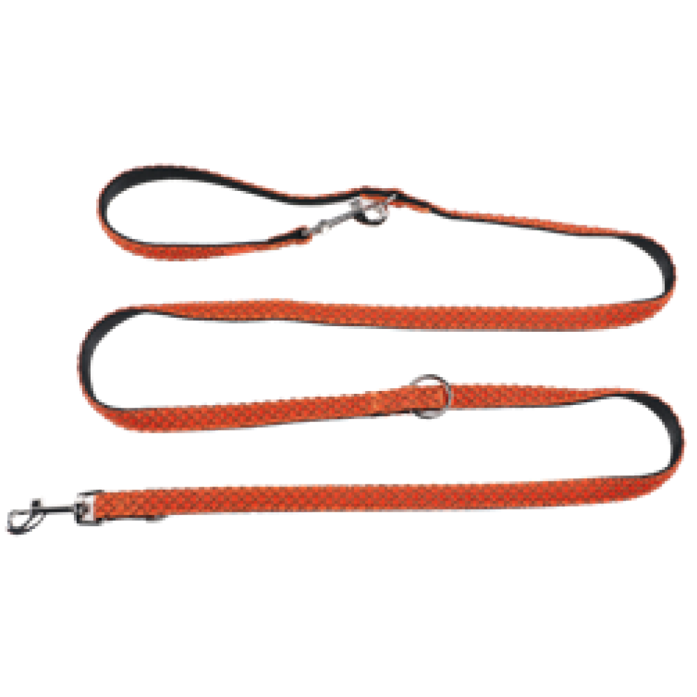 Leashes