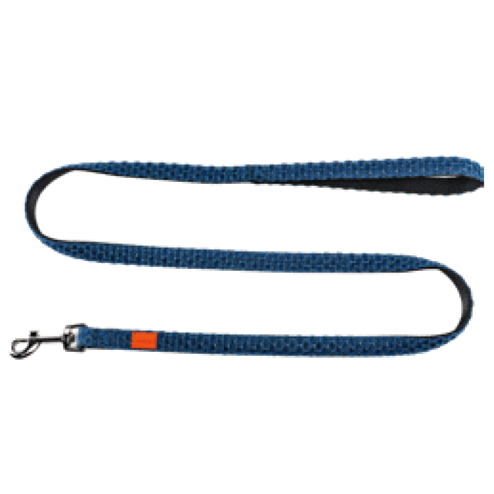 Leash for Dogs