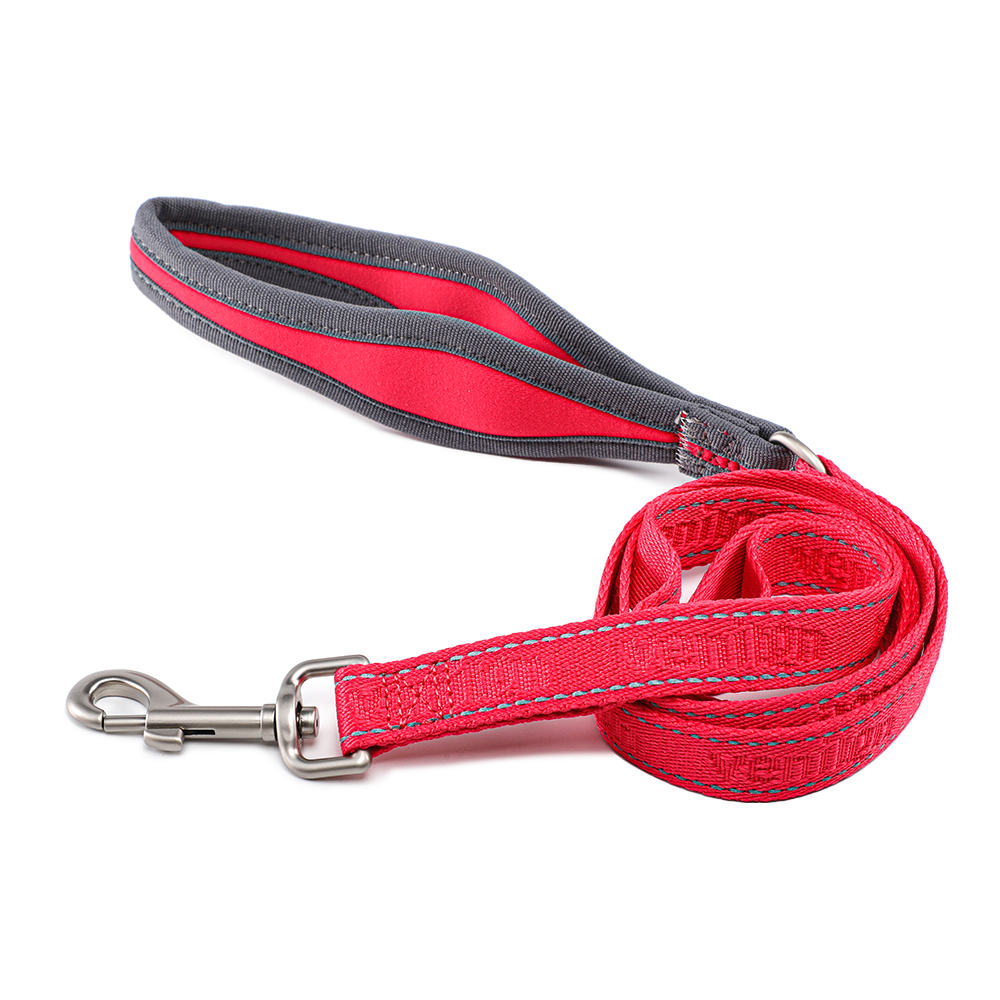 Leash for Dogs