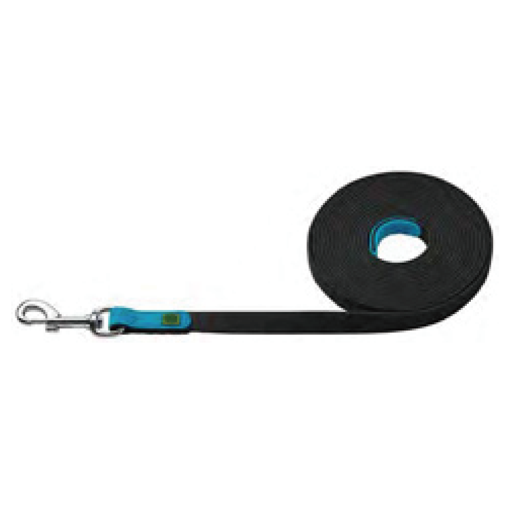 Leash for Dogs