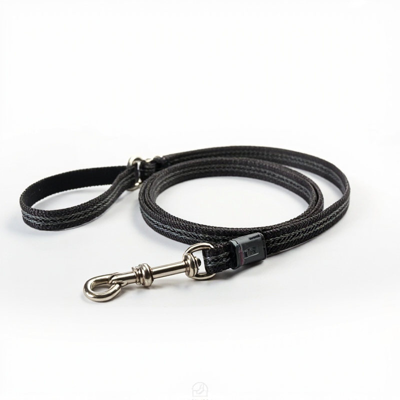Dog Leash