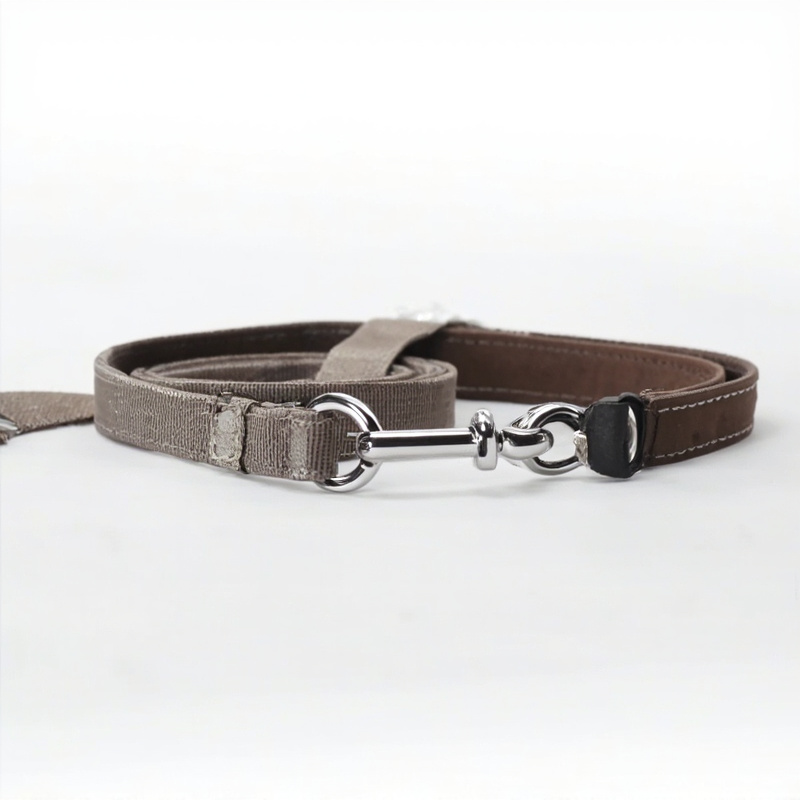 Dog Leash