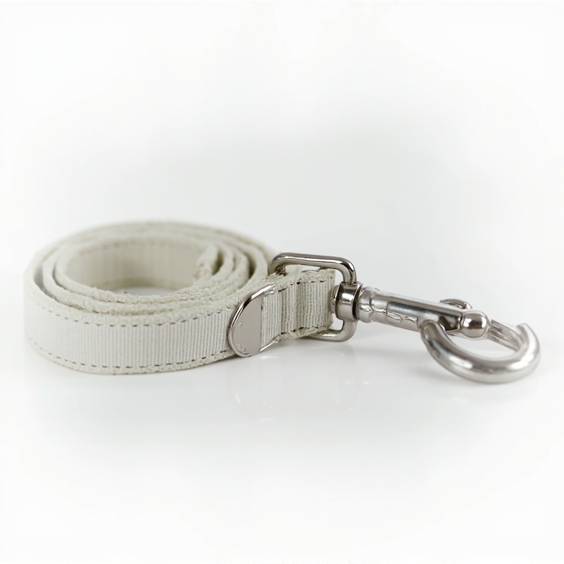 Dog Leash