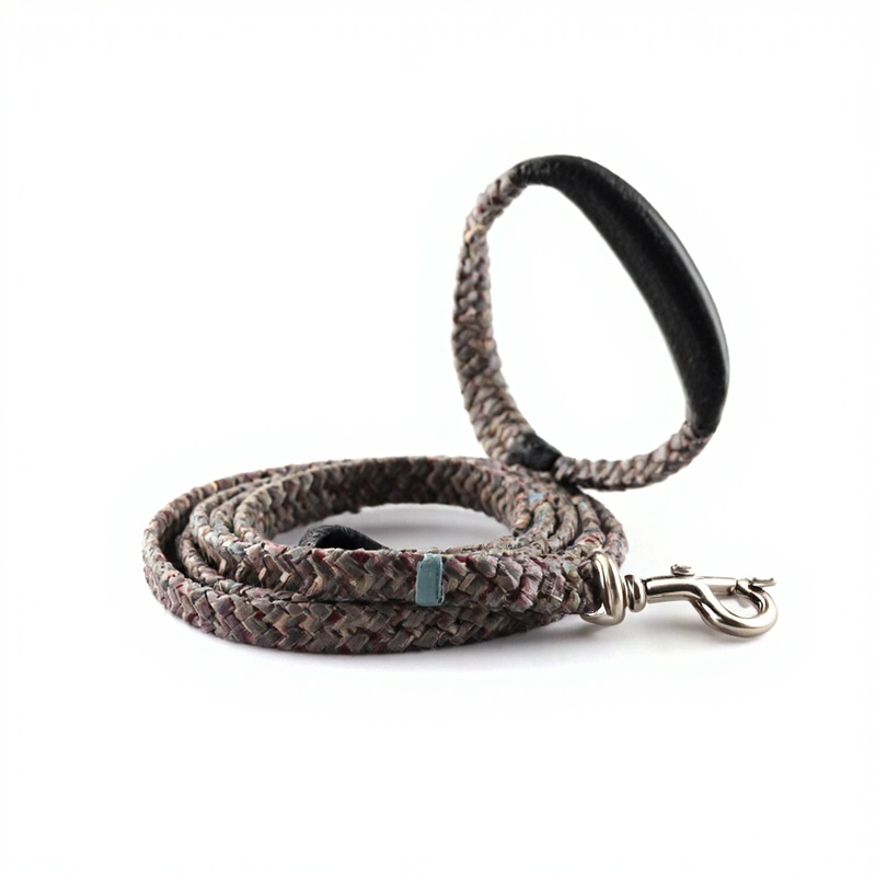 Dog Leash