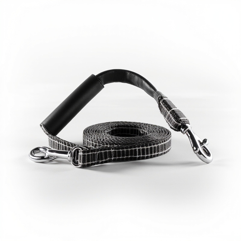 Dog Leash with Handle