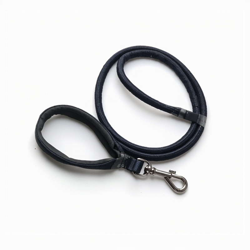 Dog Leash with Handle