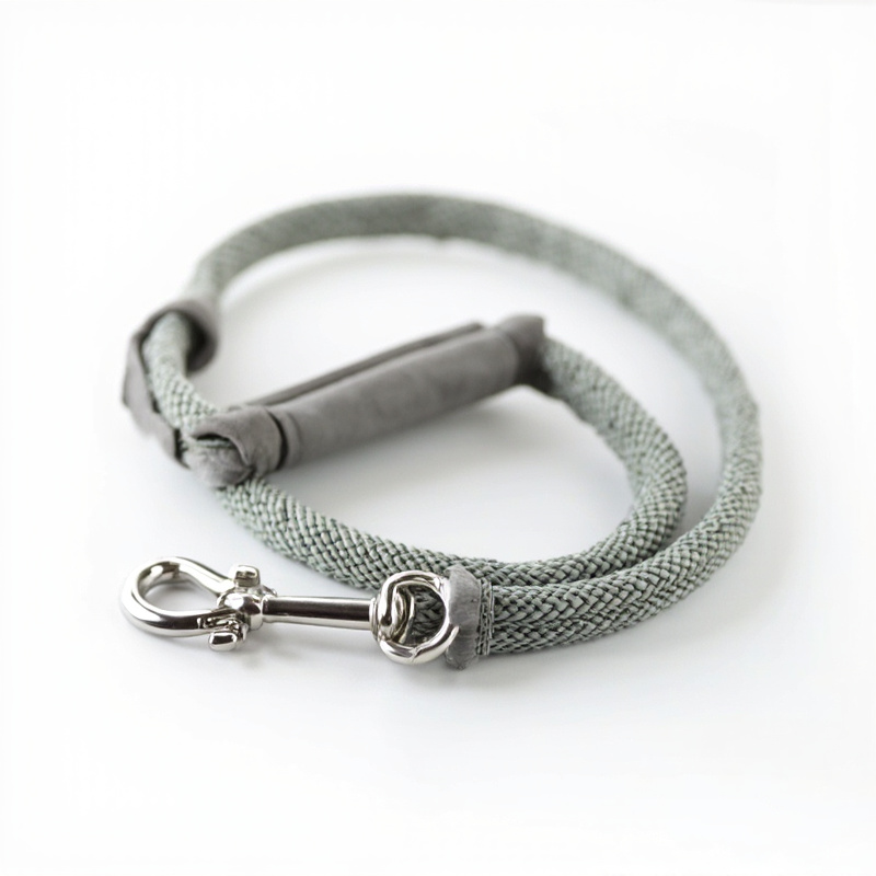 Dog Leash with Handle