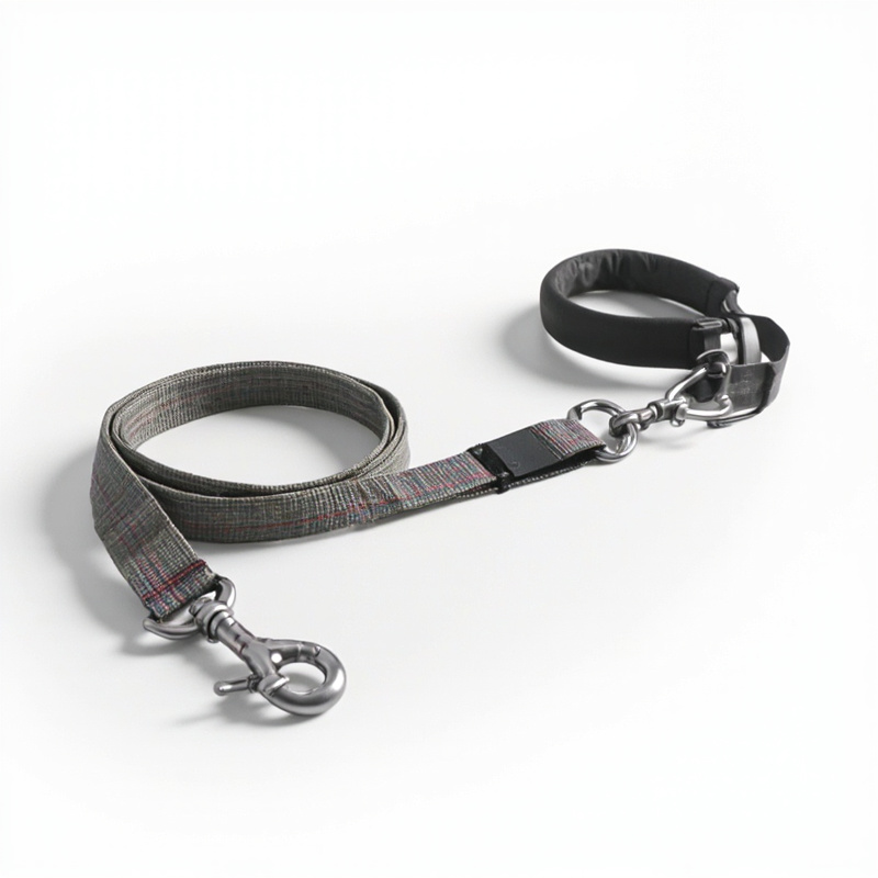 Multifunctional Dog Leash
