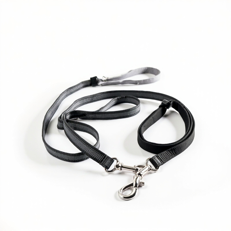 Multifunctional Dog Leash