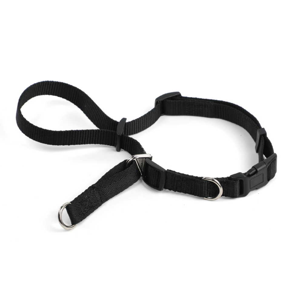 Muzzle for Dogs