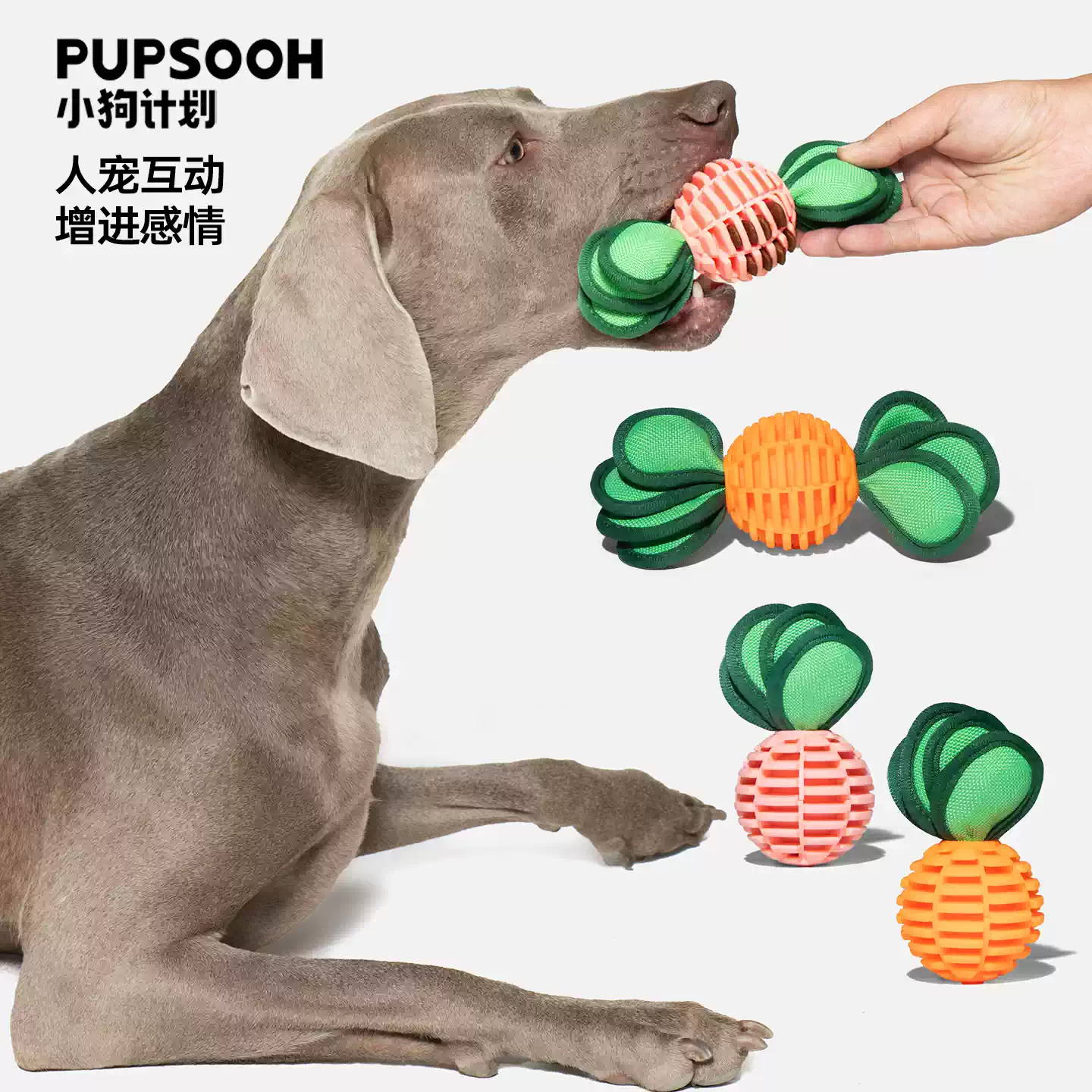 Carrot Treat Toy