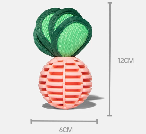 Carrot Treat Toy