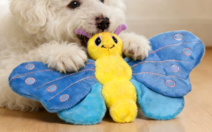 Bee Dog Toy
