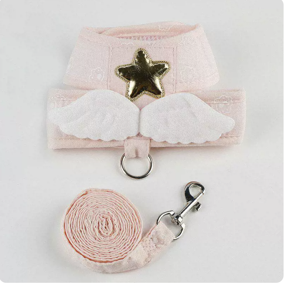 Rabbit Harness & Leash Set