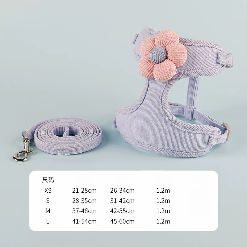 Rabbit Harness & Leash Set