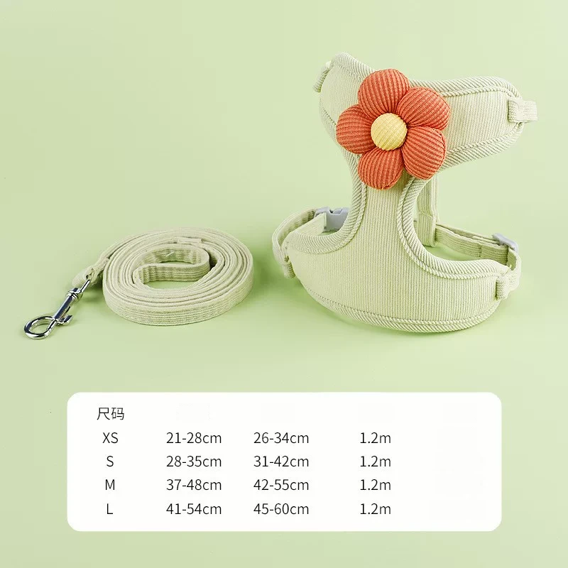 Rabbit Harness & Leash Set