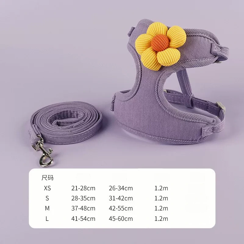 Rabbit Harness & Leash Set