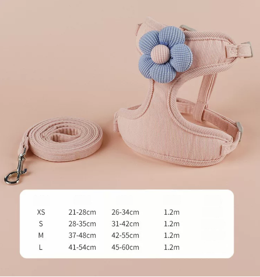 Rabbit Harness & Leash Set