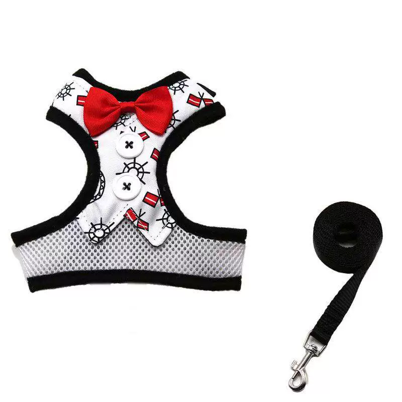 Rabbit Harness & Leash Set