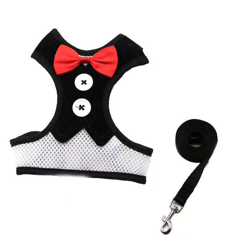 Rabbit Harness & Leash Set