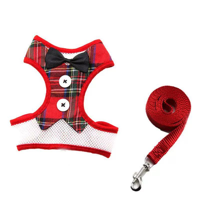 Rabbit Harness & Leash Set