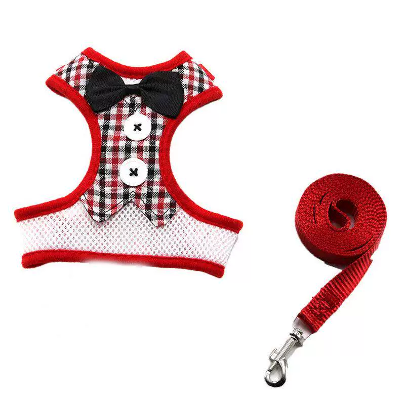 Rabbit Harness & Leash Set