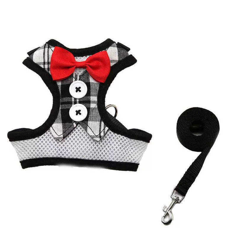 Rabbit Harness & Leash Set
