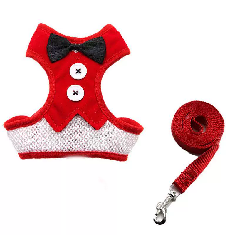 Rabbit Harness & Leash Set