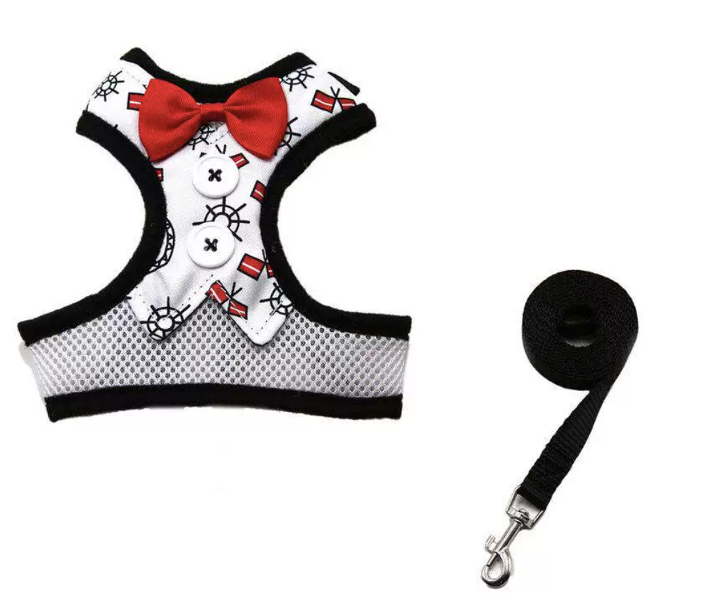 Rabbit Harness & Leash Set